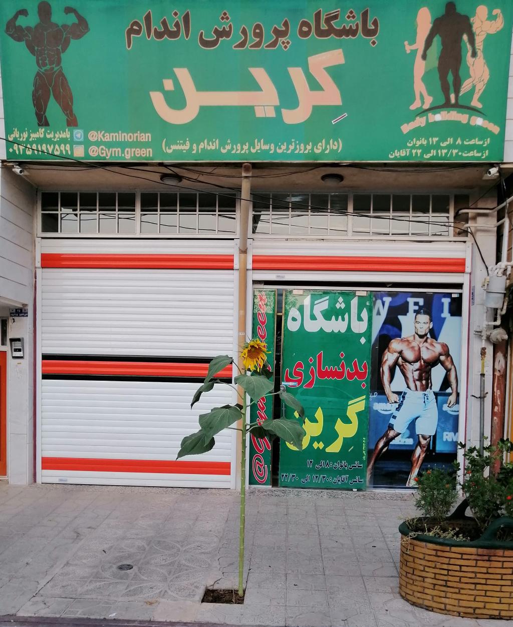 باشگاه بدنسازی گرین