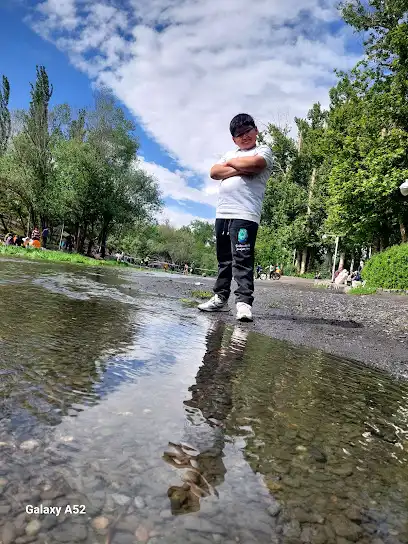 باشگاه بیلیارد ستایش