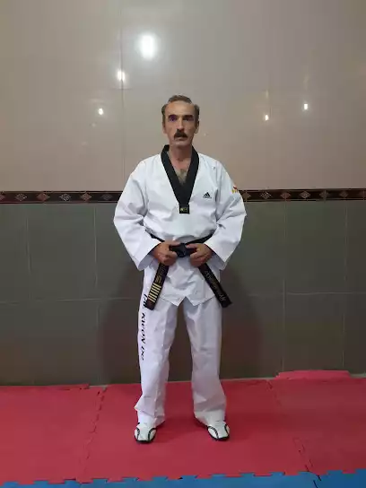 باشگاه تکواندو آزادی (سعید)