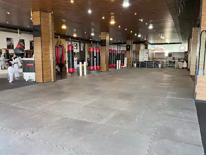 باشگاه رزمی و بوکس ستاره ماهان