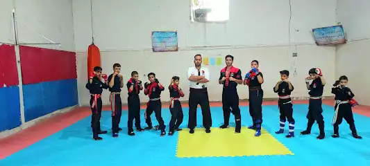 باشگاه رزمی کونگ فو توآ