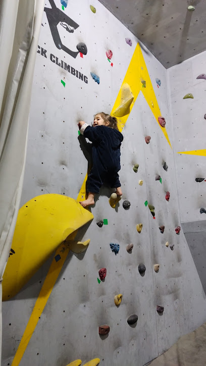 باشگاه سنگنوردی آرسی RCclimbing gym