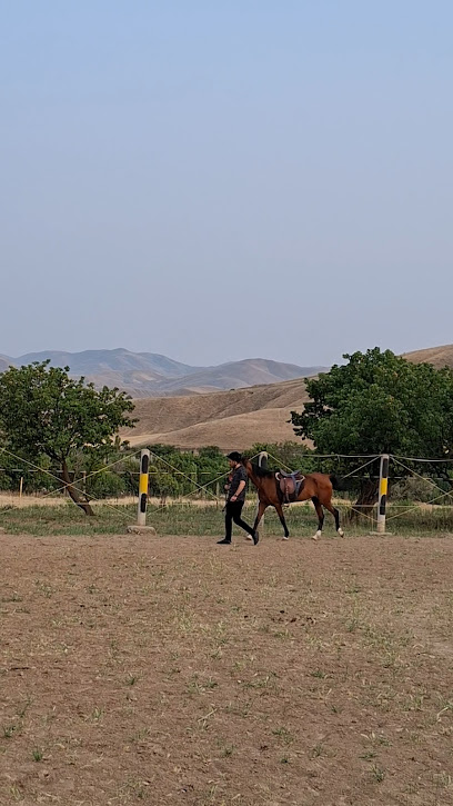 باشگاه سوارکاری شروان