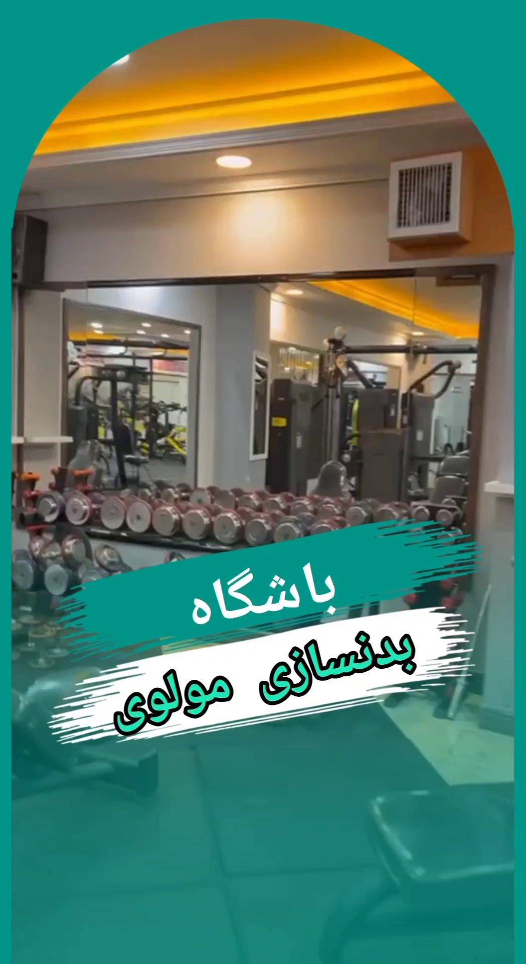 باشگاه ورزشی پرستو نورمحمدی