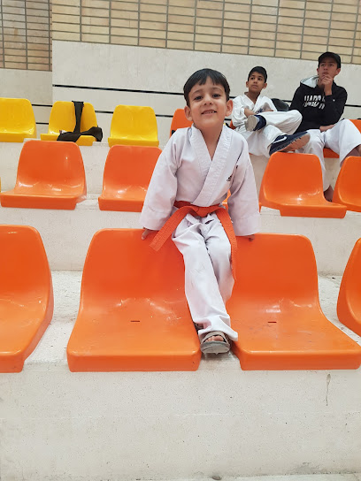 باشگاه کیوکوشین کاراته