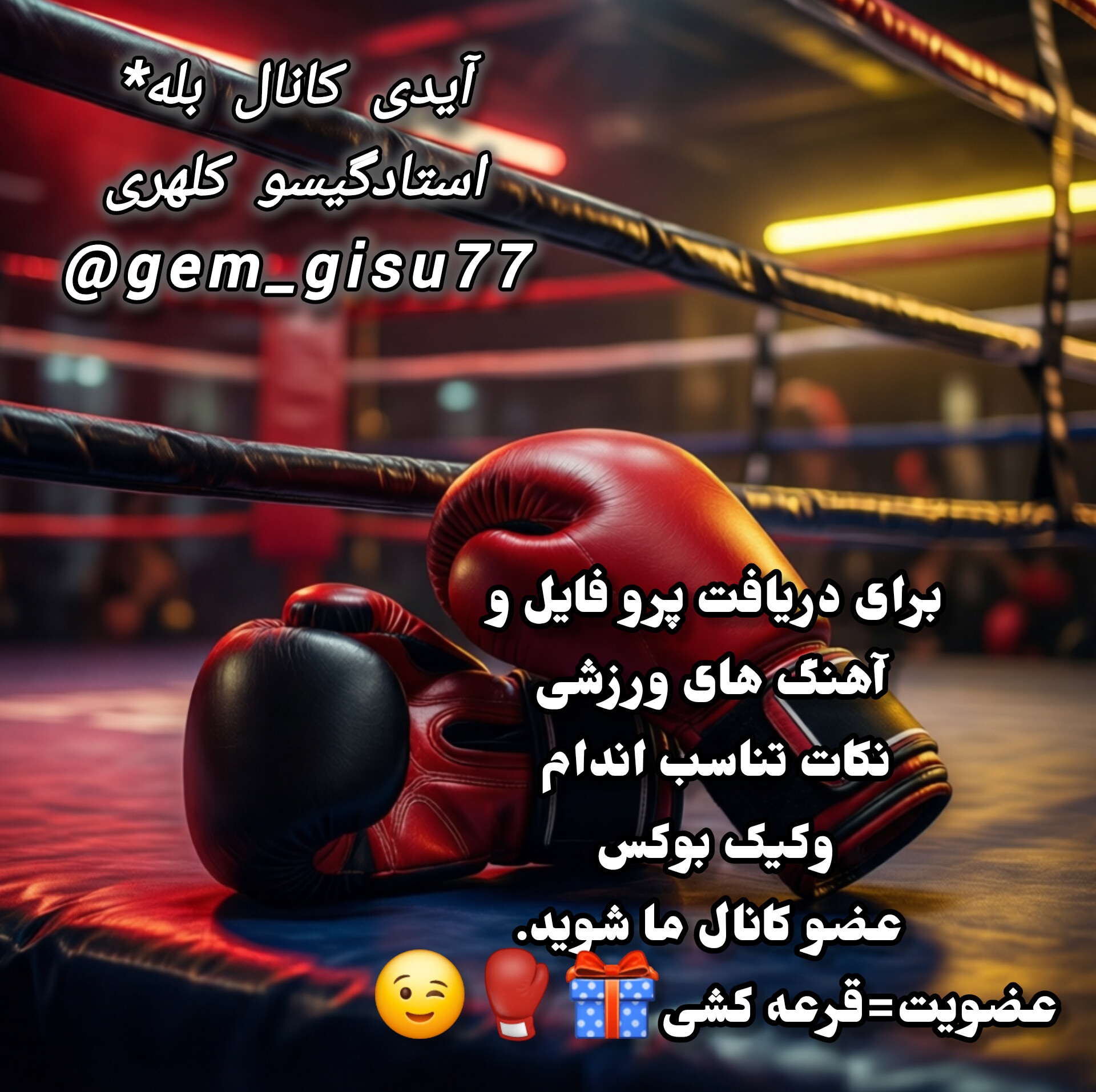 باشگاه کیک بوکسینگ تخصصی بانوان