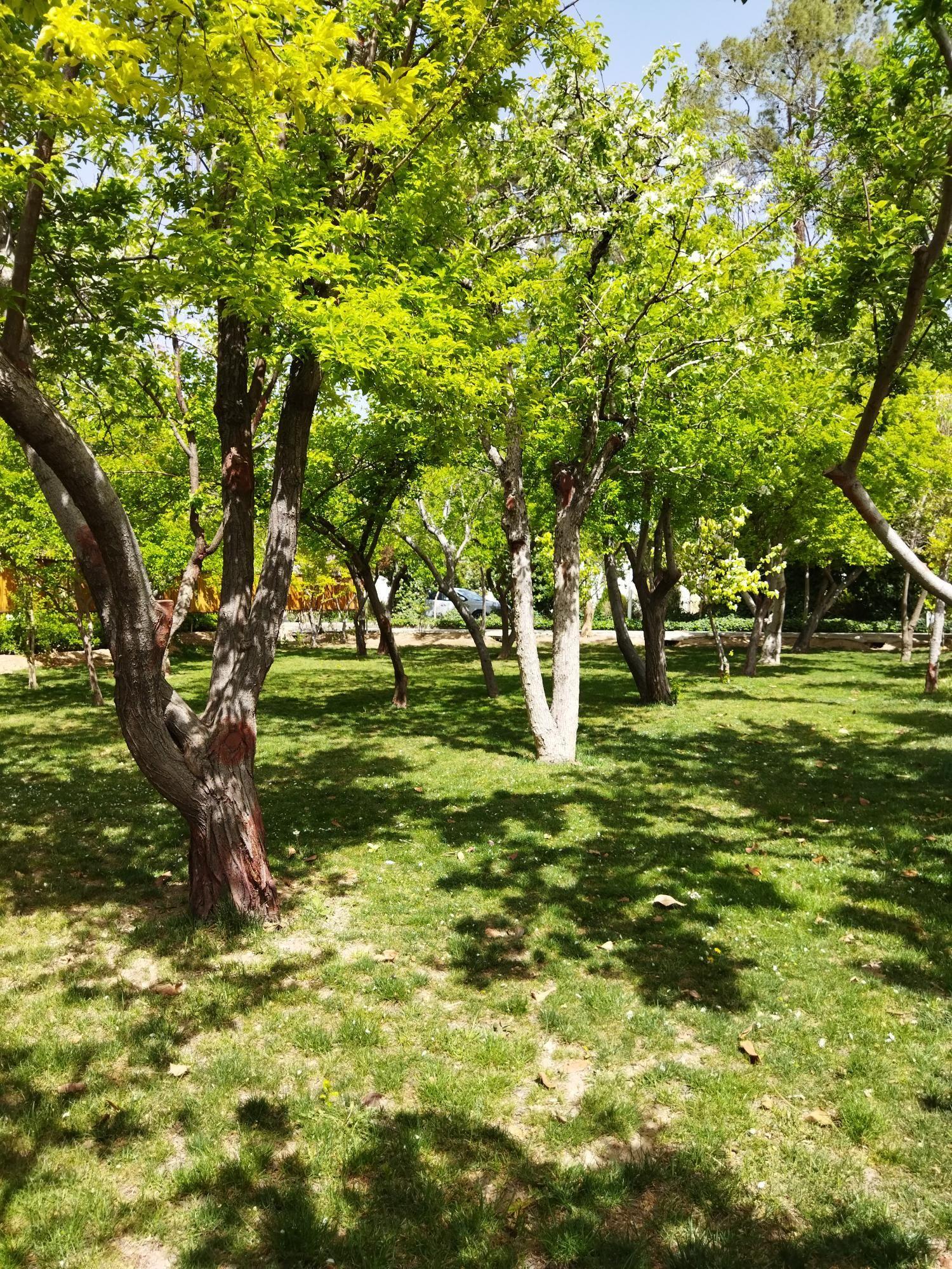 باغ تالار شادی
