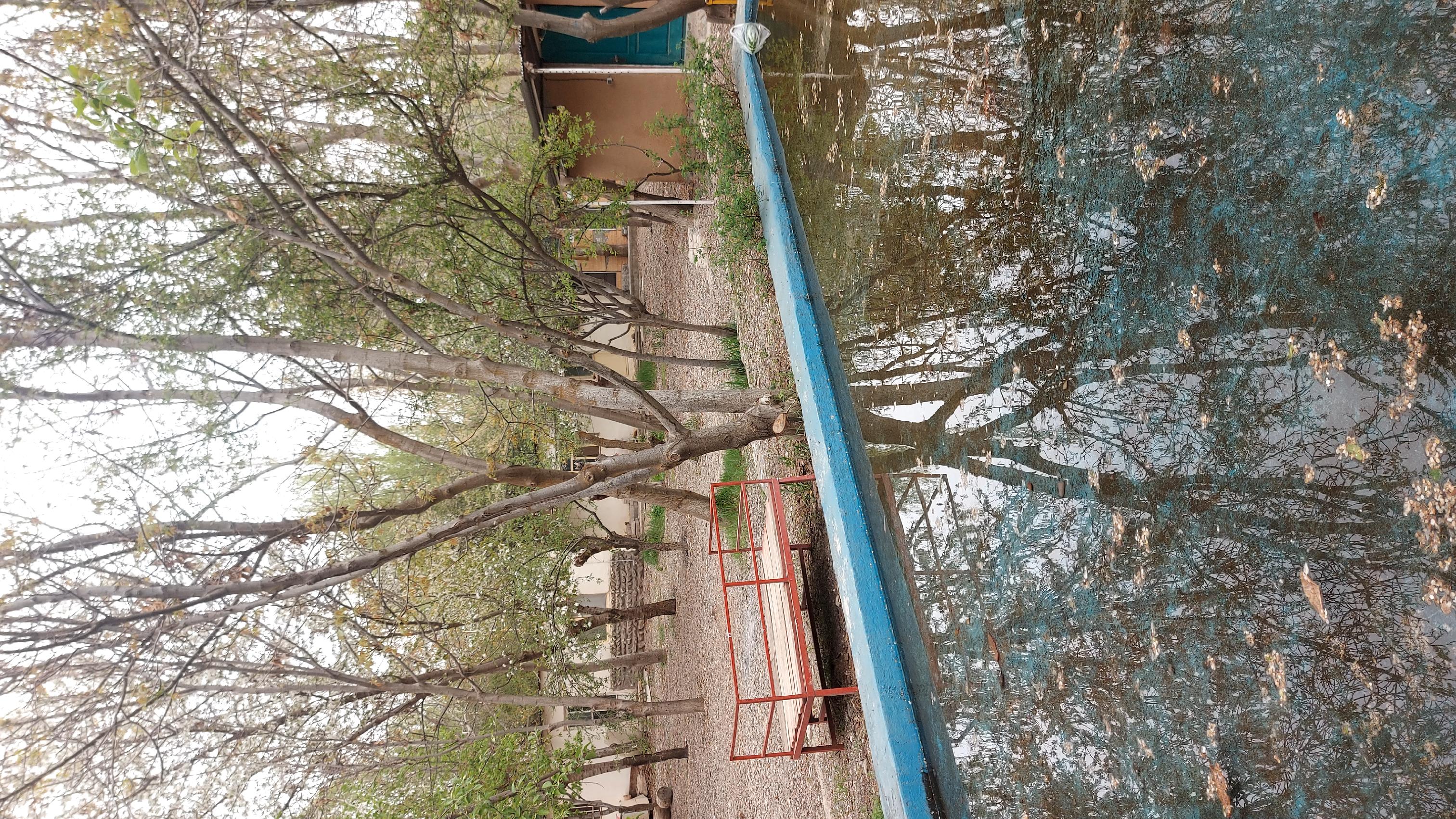 باغ رستوران توت فرنگی