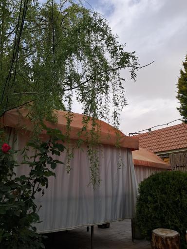 باغ رستوران رز rosegardenrest