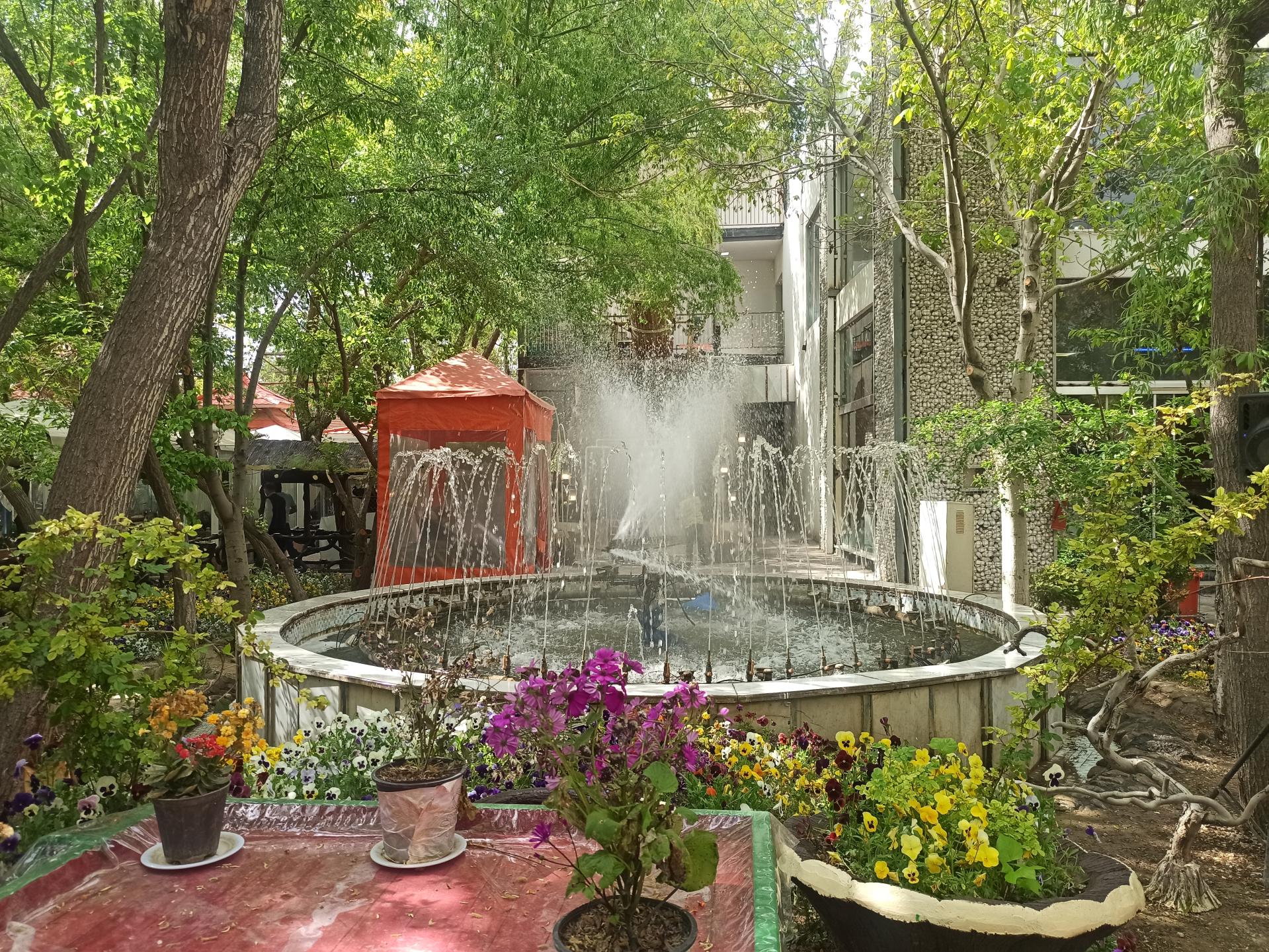 باغ رستوران شب نشین