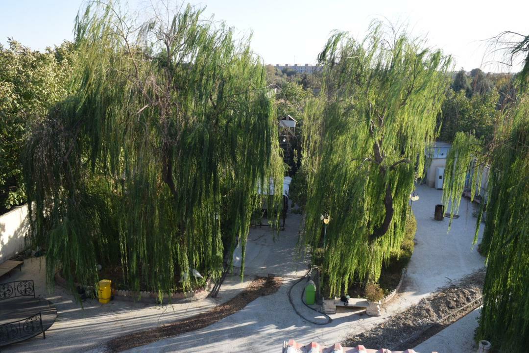 باغ رستوران علیمردانی