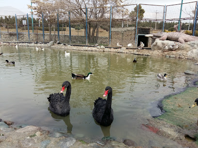 باغ وحش پردیسان