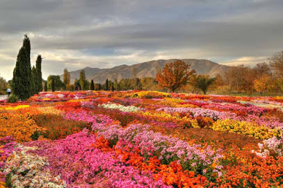 باغ گیاه شناسی ملی ایران