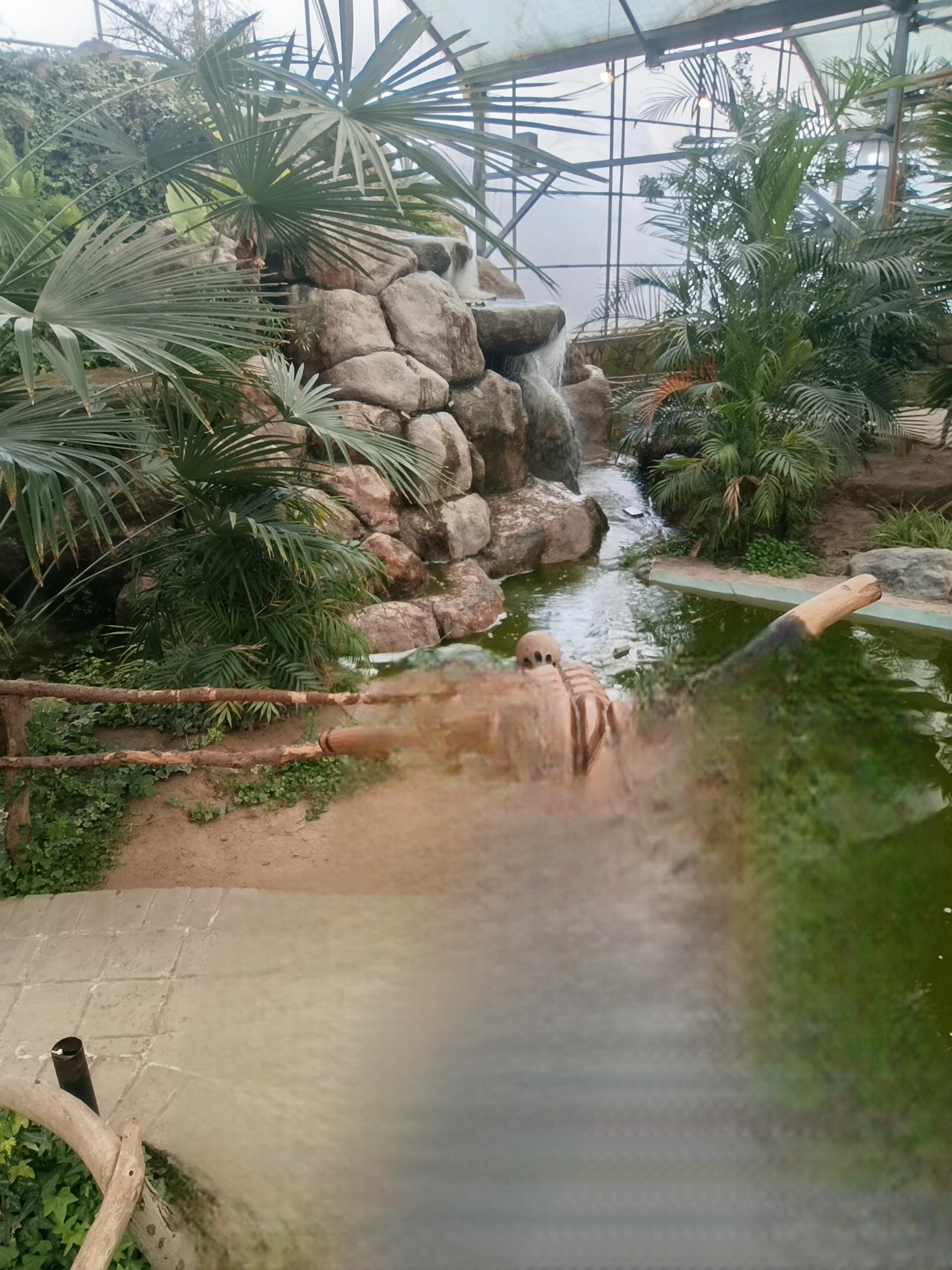 باغسرای شهرزاد