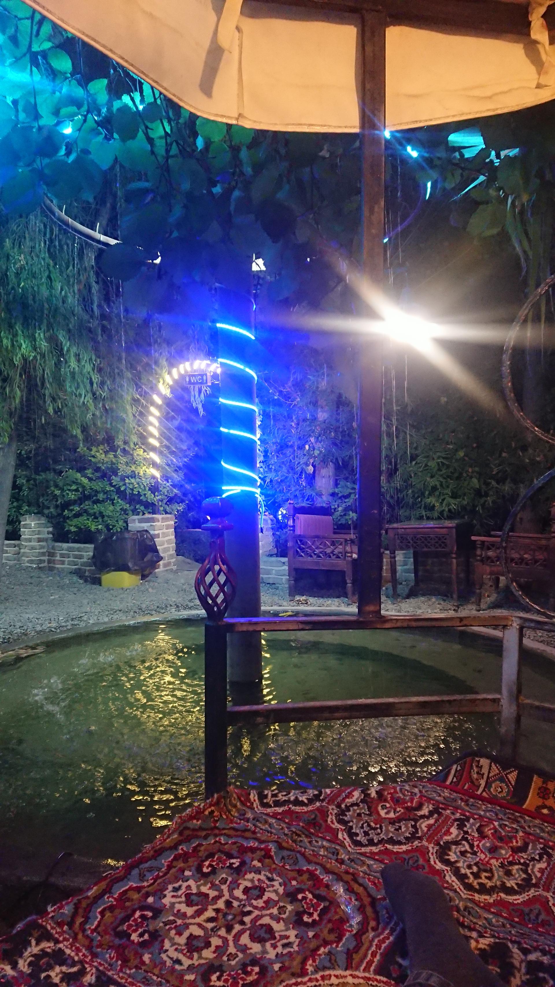 باغچه کاکتوس مستر جوجه (اکبر جوجه)
