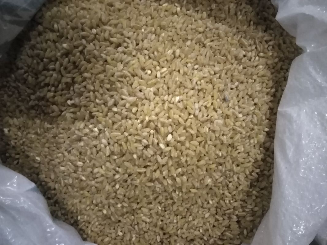 برادران متانت