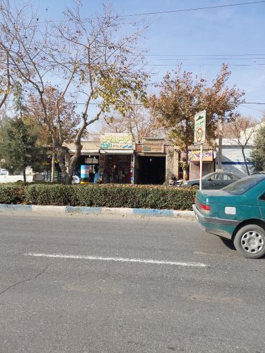 برق و الکترونیک خودرو