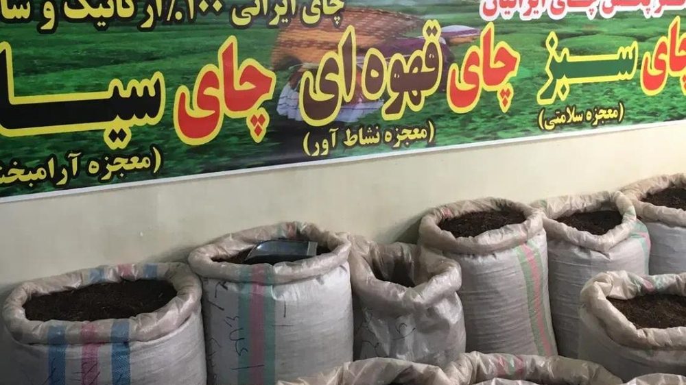 برگ سبز ایران
