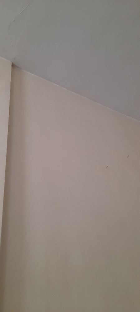 بلکا و نقاشی ساختمان سلیمانی