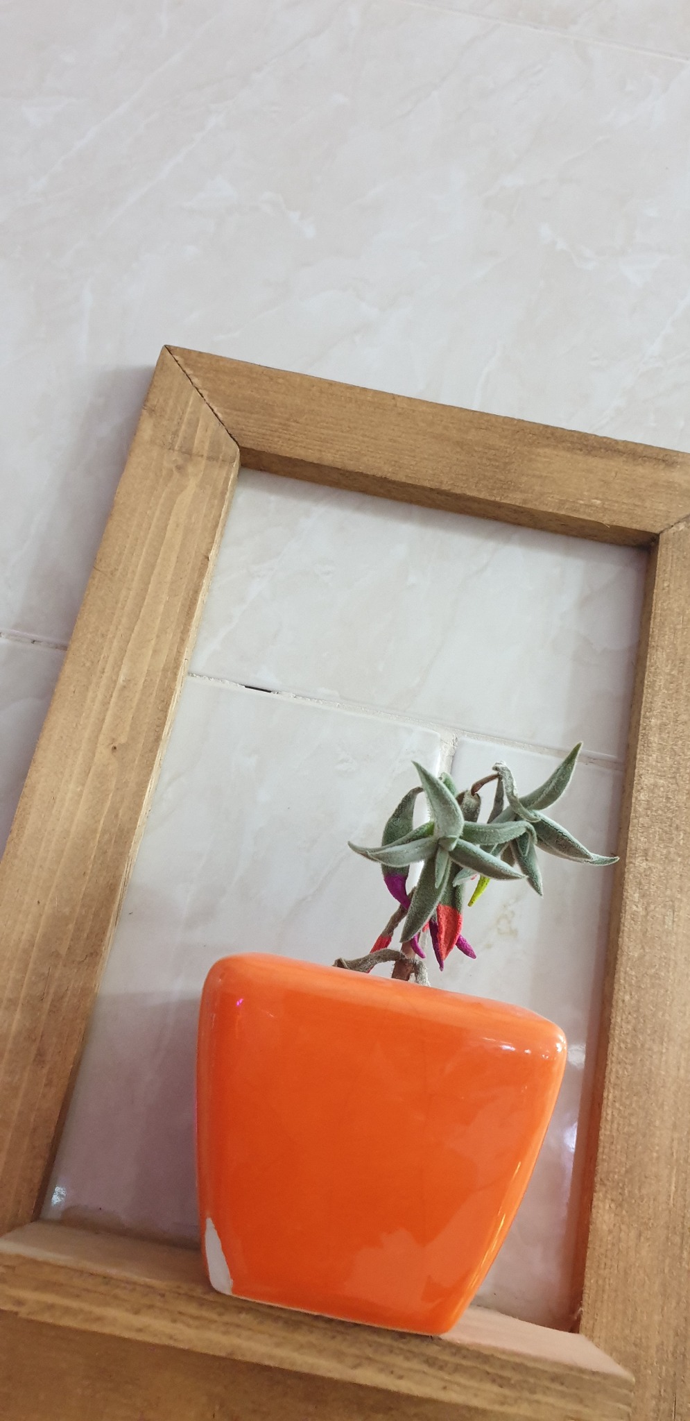 بنگاه املاک ندوشن