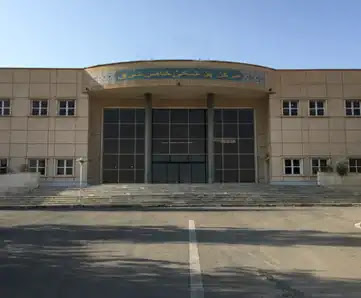 بنیاد امور بیماریهای خاص