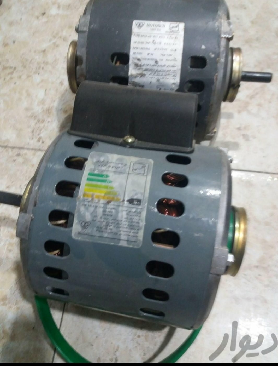 بهروز رشیدی