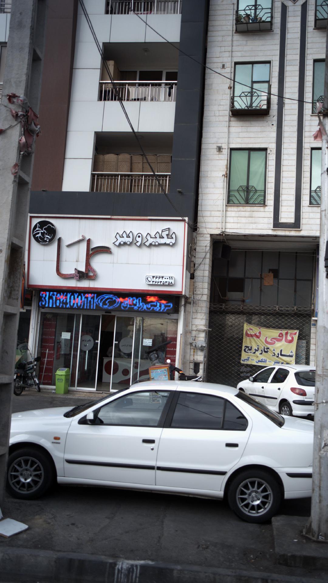 بگیر و ببر گلها