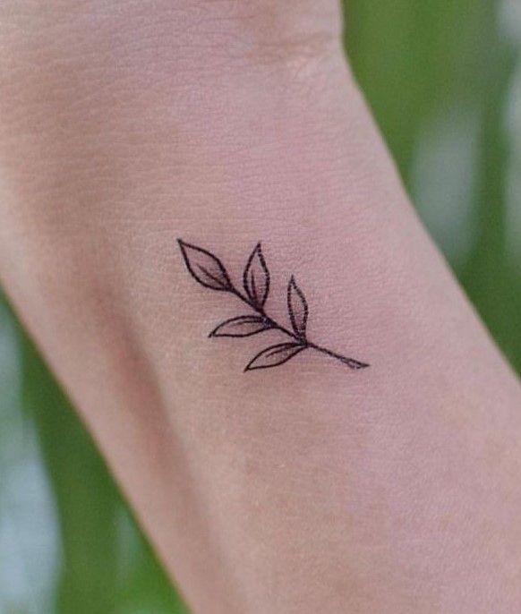 تاتو بدن (T.tattooplus)