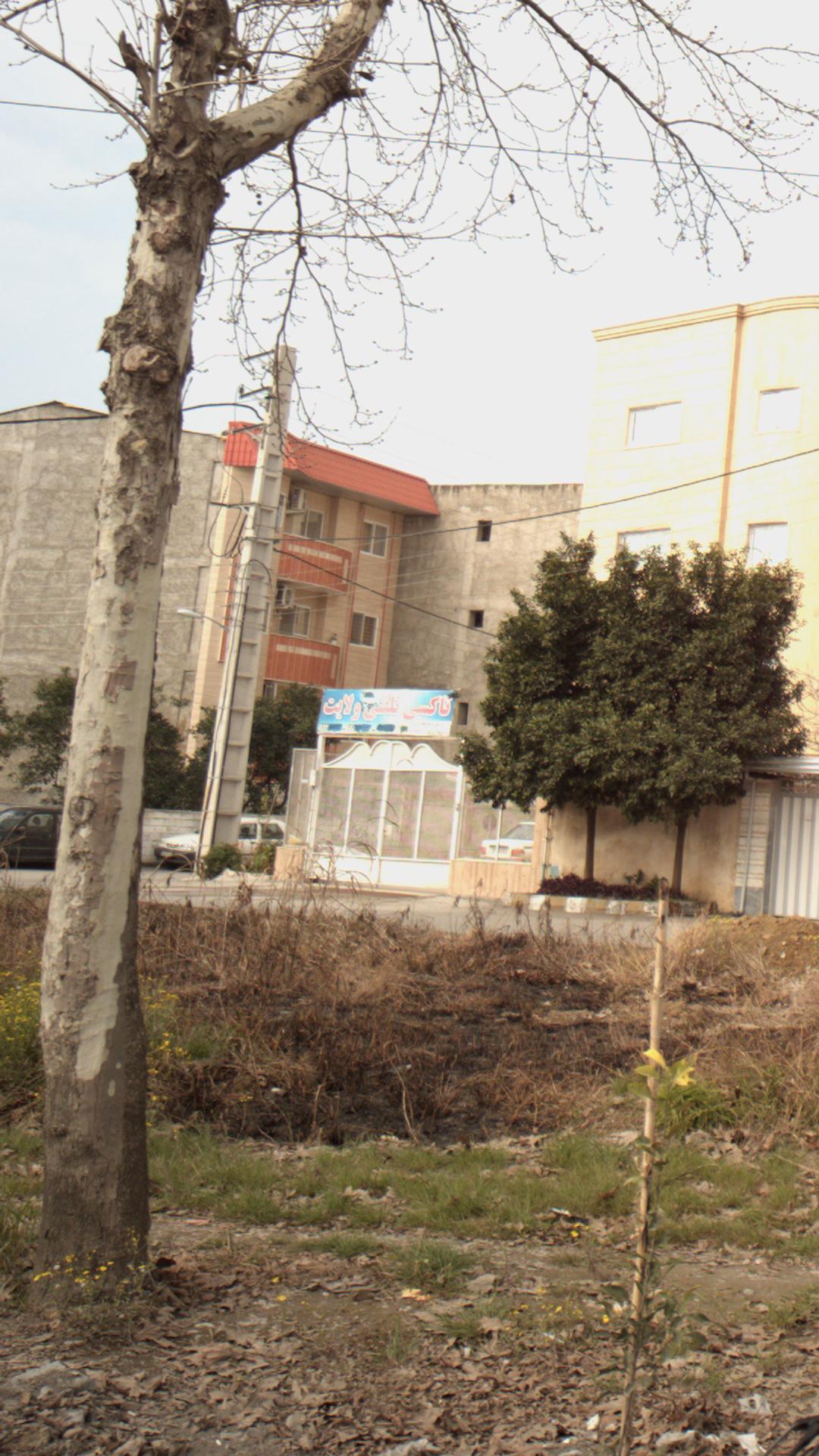 تاکسی تلفنی همیشه بهار