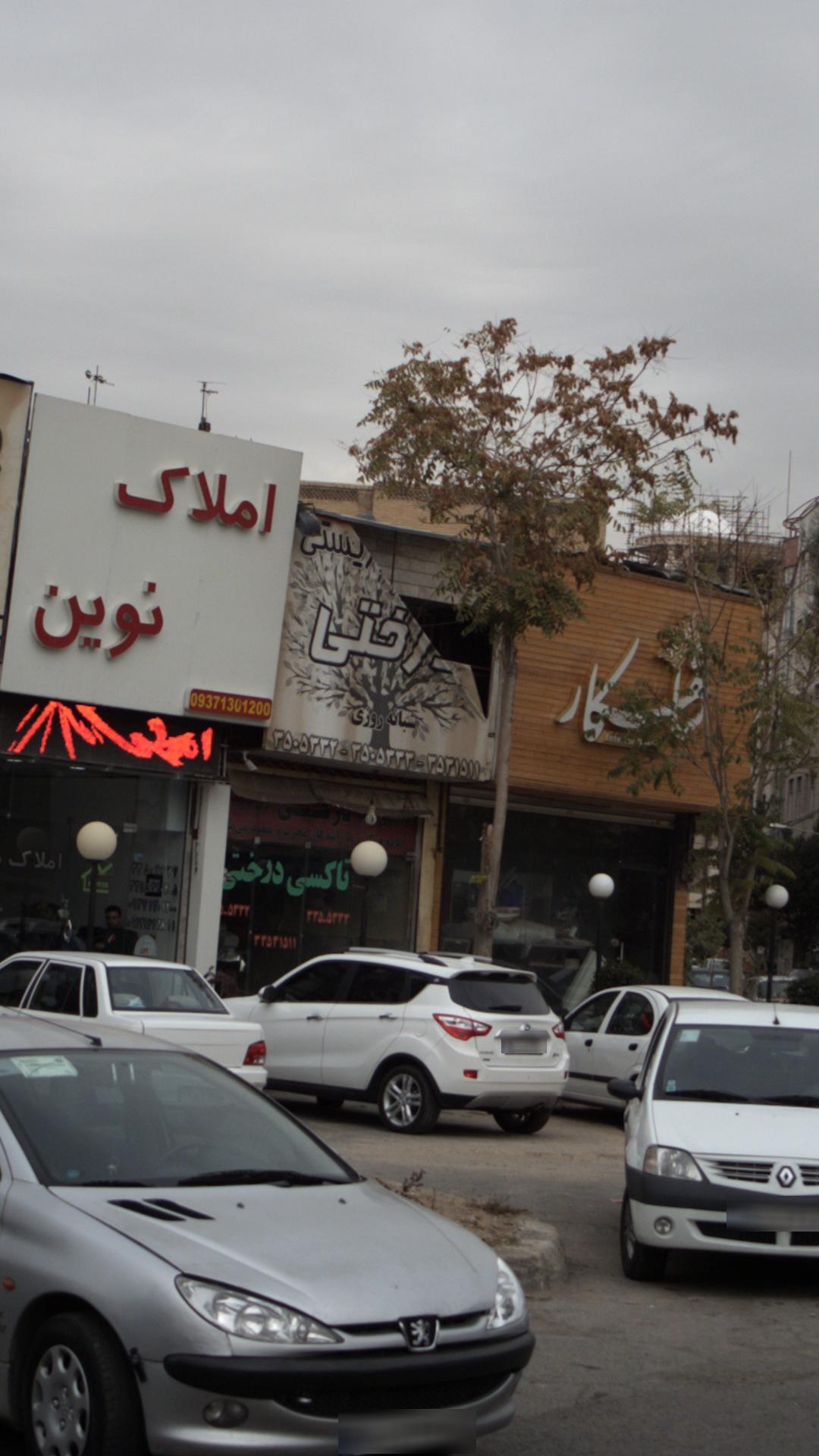 تاکسی درختی شبانه روزی