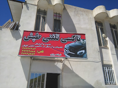 تاکسی سرویس طپش