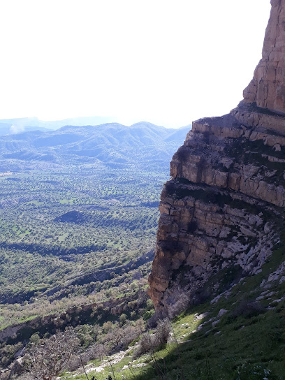 تاکسی سرویس فجر