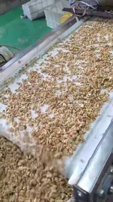تجارتخانه آریان پور