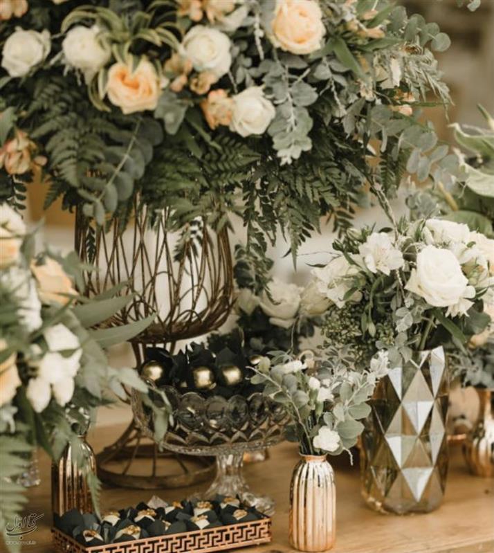 تشریفات رضا اصلانی