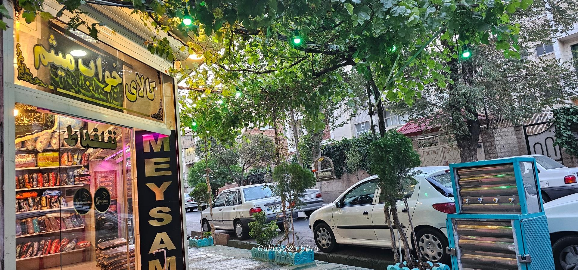 تشک زرین