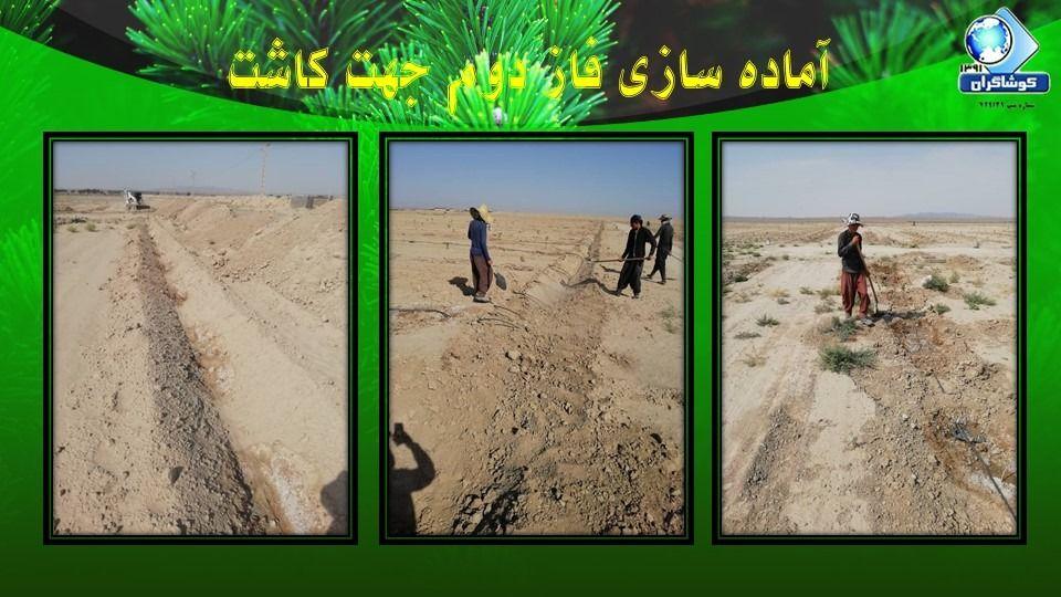 تعاونی کاوشگران عرصه اقتصاد مبین