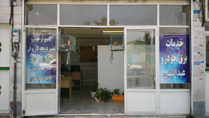 تعمیرات دریچه گاز برقی عبداللهی