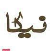 تهیه غذای نیکا