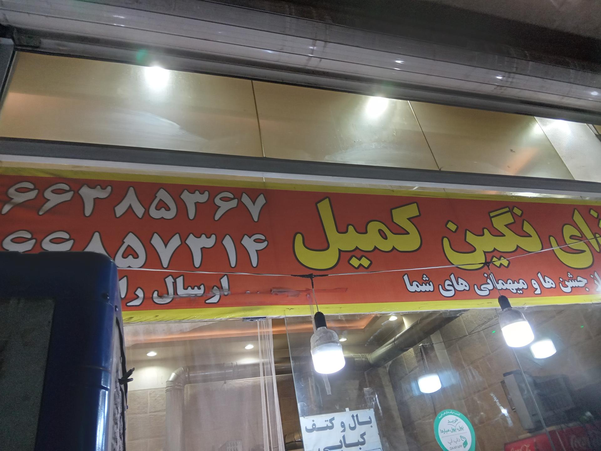 تهیه غذای کیوی