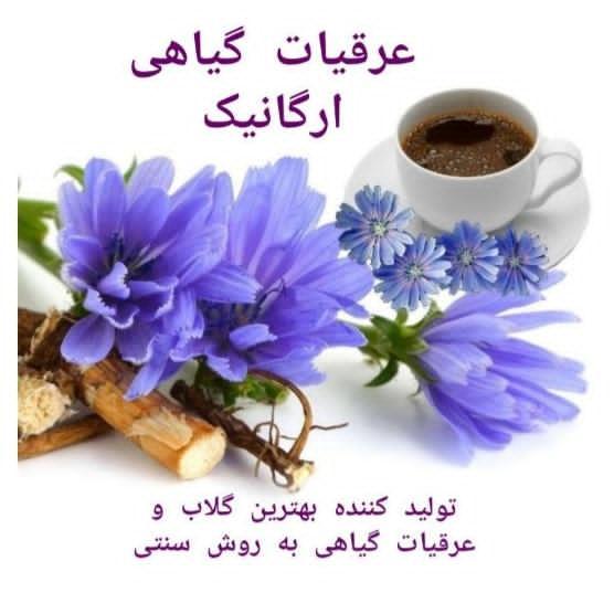 تولید کننده گلاب و انواع عرقیات ارگانیک
