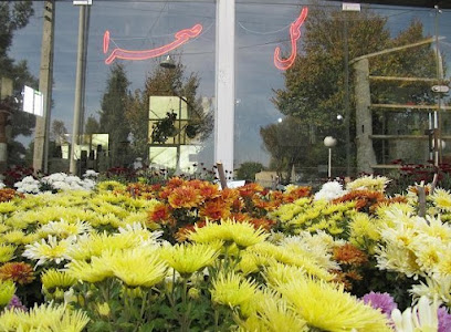 تولیدی گل صحرا