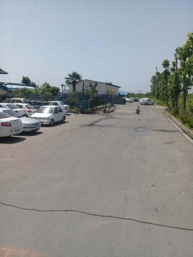 جوجه کشی سپید ماکیان