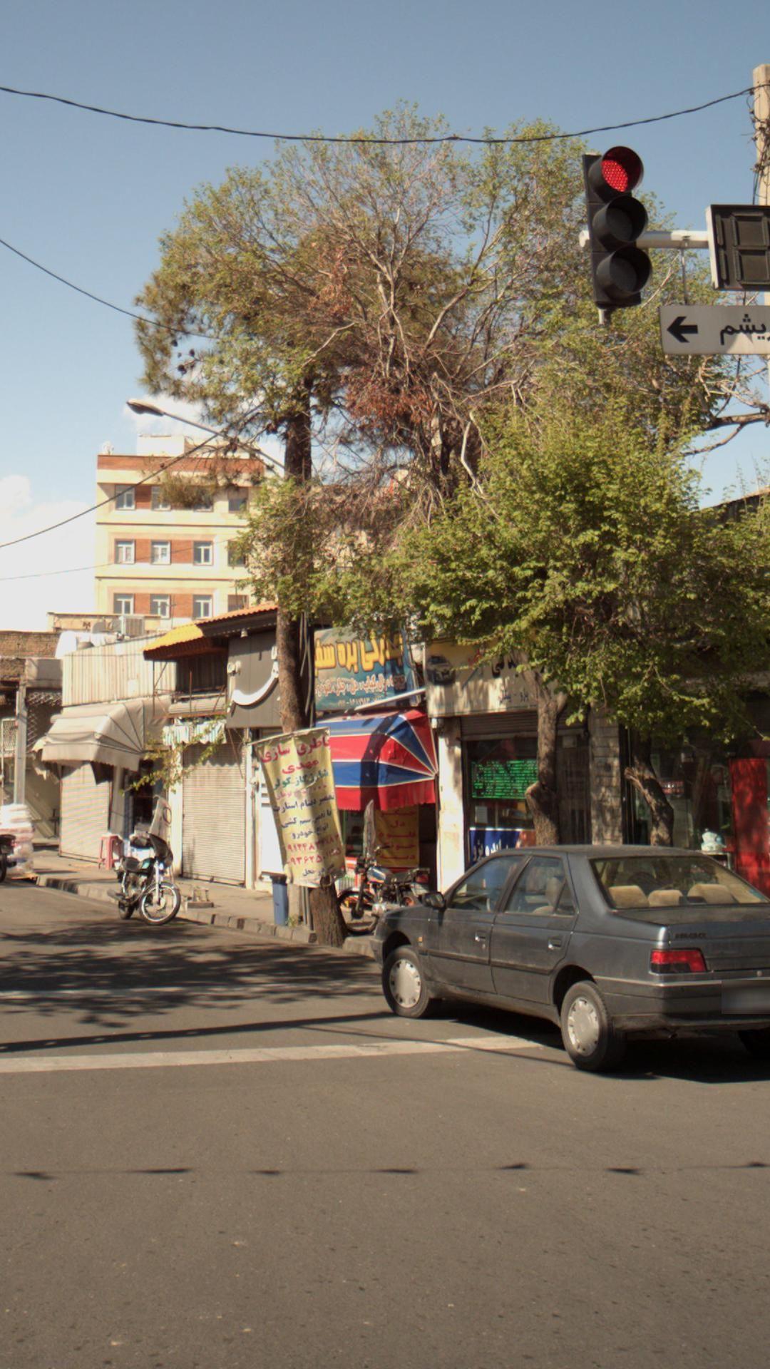 جگرکی بره سفید