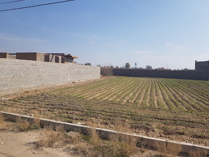 حاجی آباد