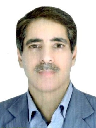 حسن شریفی ابراهیم آبادی