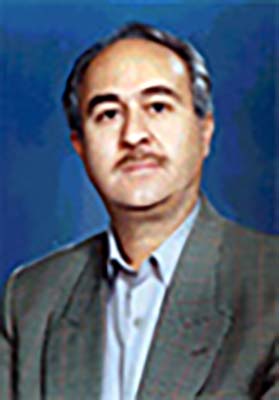 حسن نقی زاده