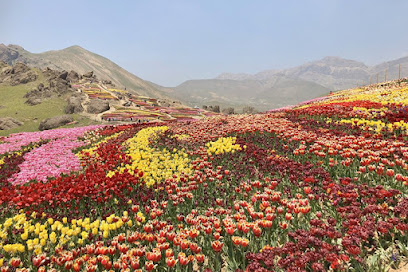 خانه اجاره ای لاله زار