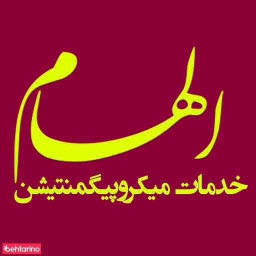 خدمات میکروپیگمنتیشن الهام