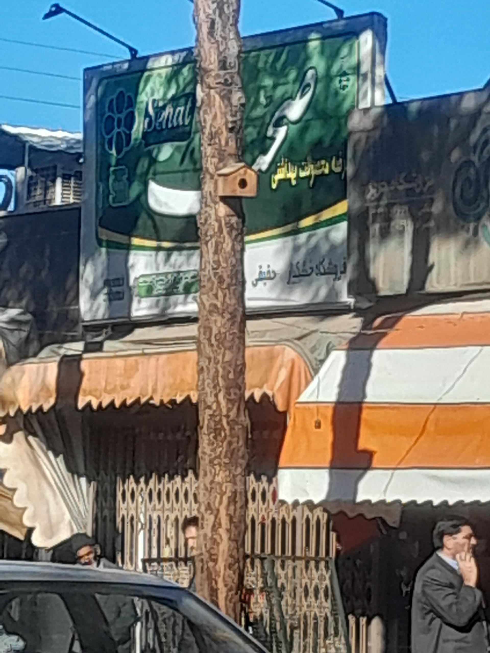 خشکبار باقری نژاد