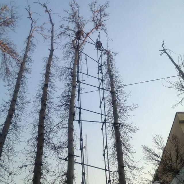 داربست فلزی چوپانی